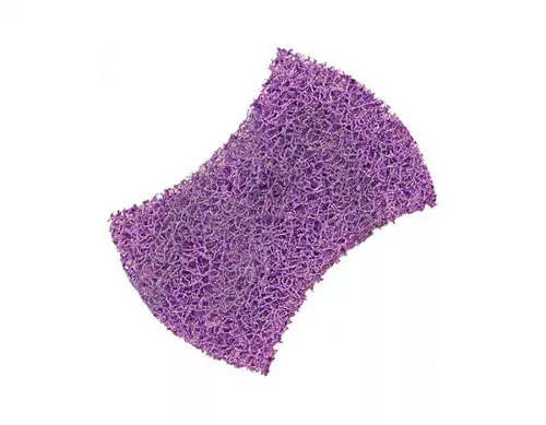7100079881